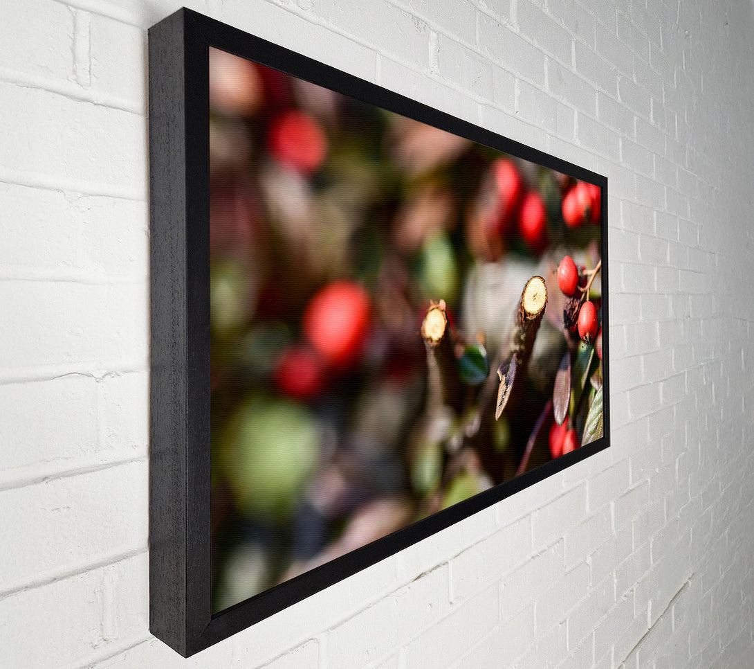  A Canvas Print of Red Berries & Branch Cut Canvas Art