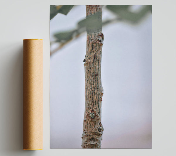 Brown Branch Texture Print
