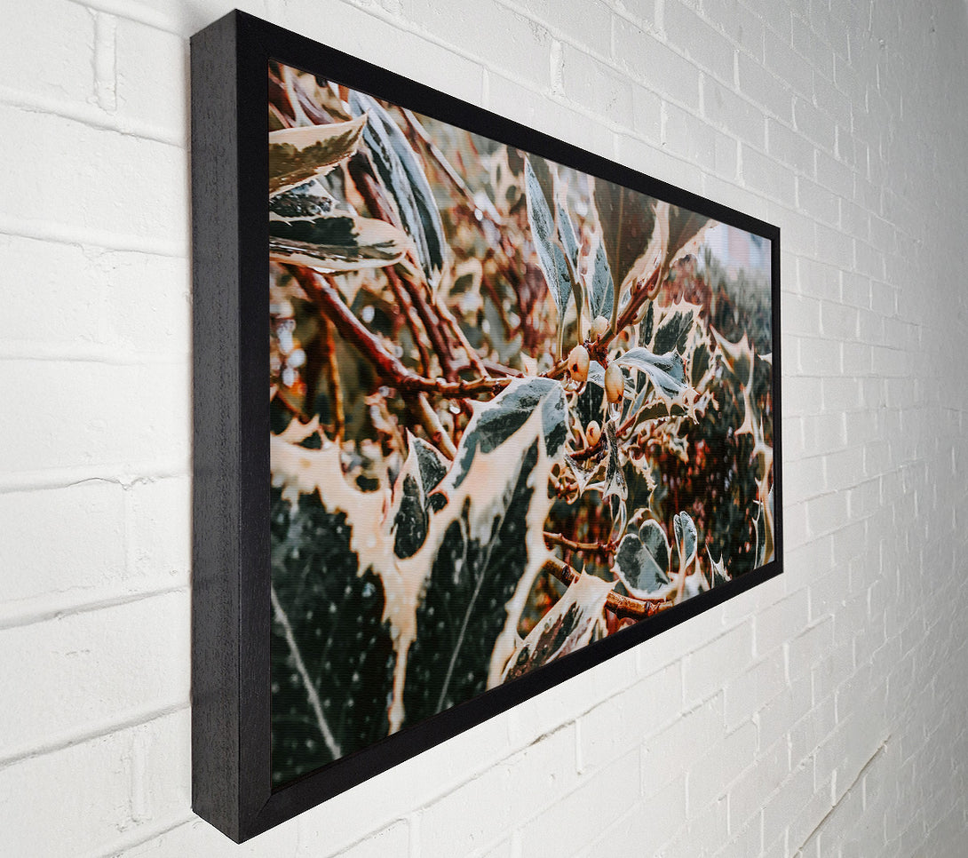  A Canvas Print of Emerald Holly Dewdrops Canvas Wall Art