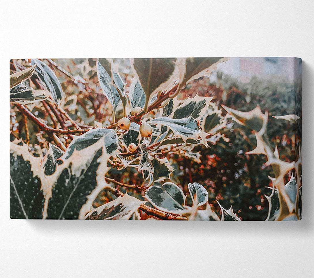  A Canvas Print of Emerald Holly Dewdrops Canvas Wall Art