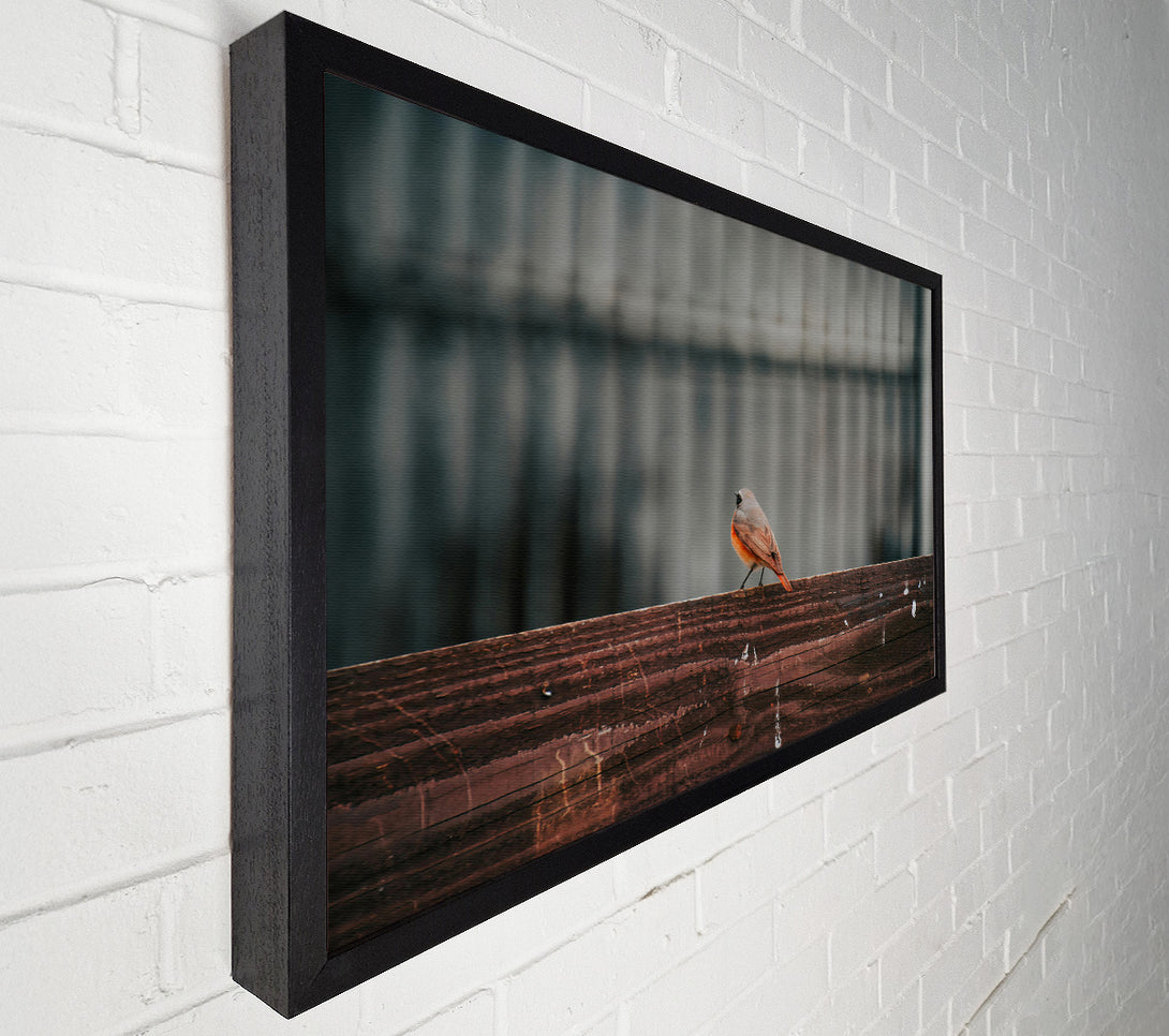  A Canvas Print of The Red Bird'S View Canvas Art