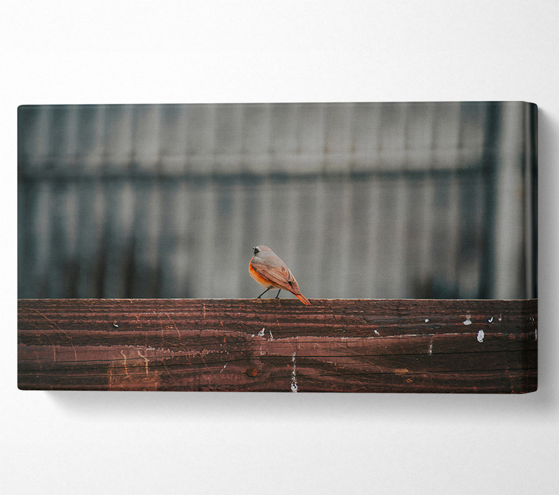  A Canvas Print of The Red Bird'S View Canvas Art