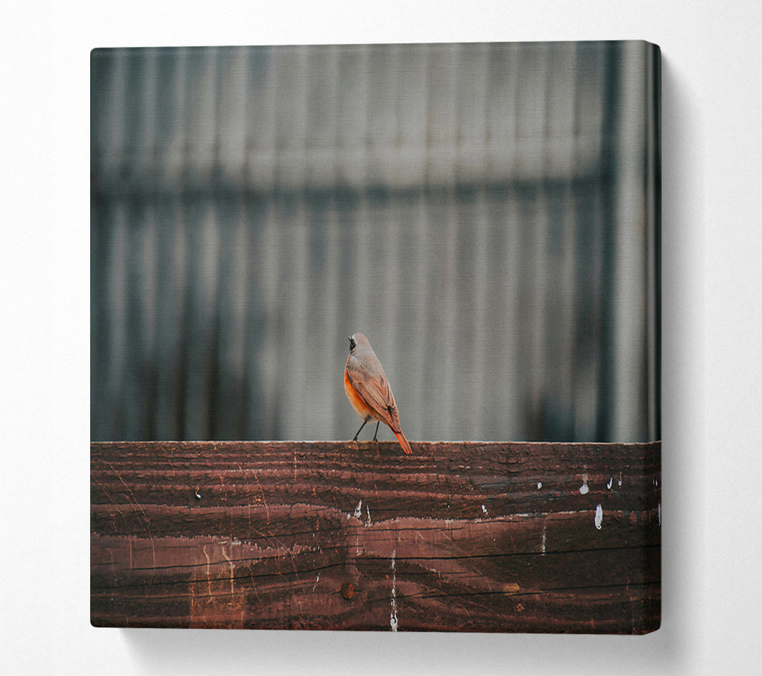  A Canvas Print of The Red Bird'S View Canvas Art