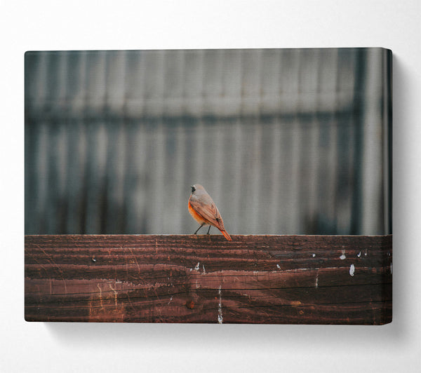  A Canvas Print of The Red Bird'S View Canvas Art