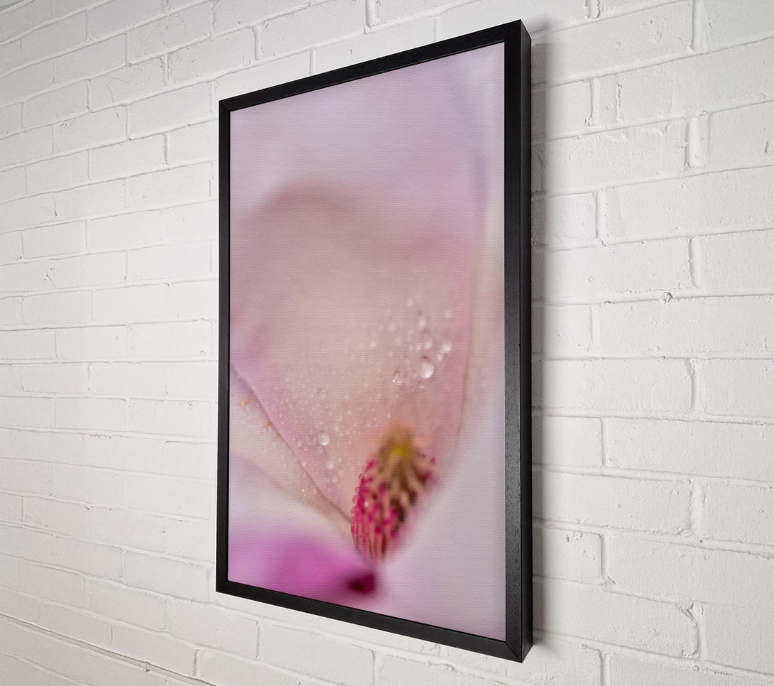  A Canvas Print of White Petal Dewdrops Canvas Wall Art