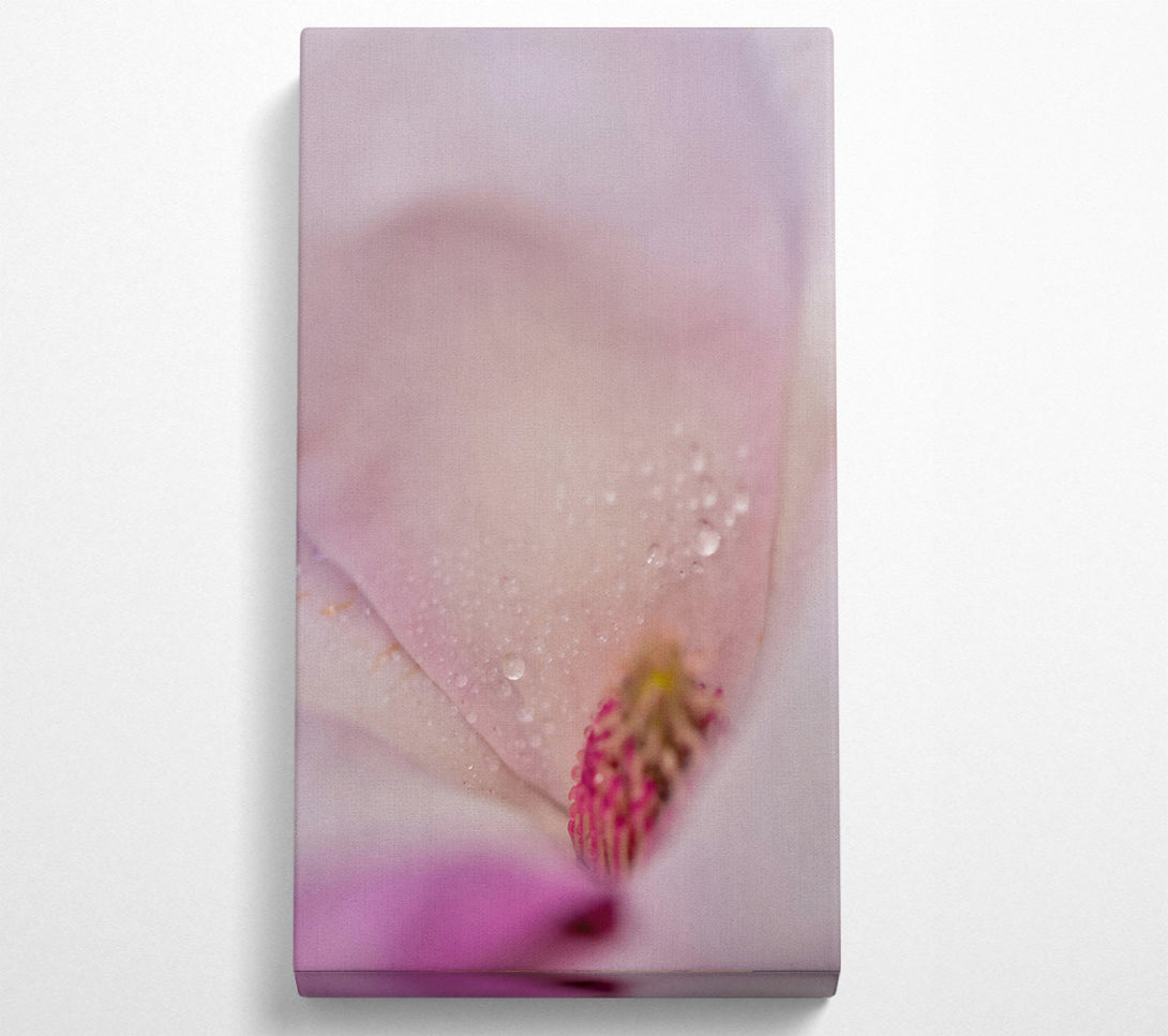  A Canvas Print of White Petal Dewdrops Canvas Wall Art