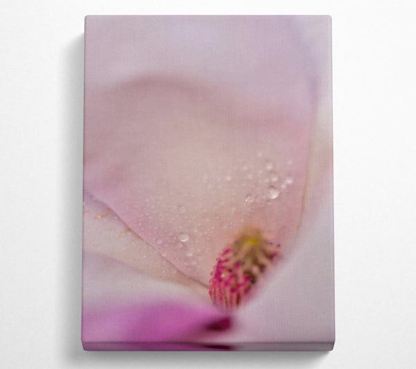  A Canvas Print of White Petal Dewdrops Canvas Wall Art
