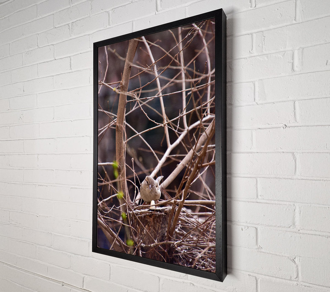  A Canvas Print of Brown Bird'S Nest Canvas Wall Art