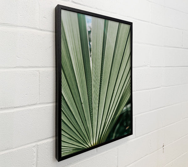 Emerald Green Fan