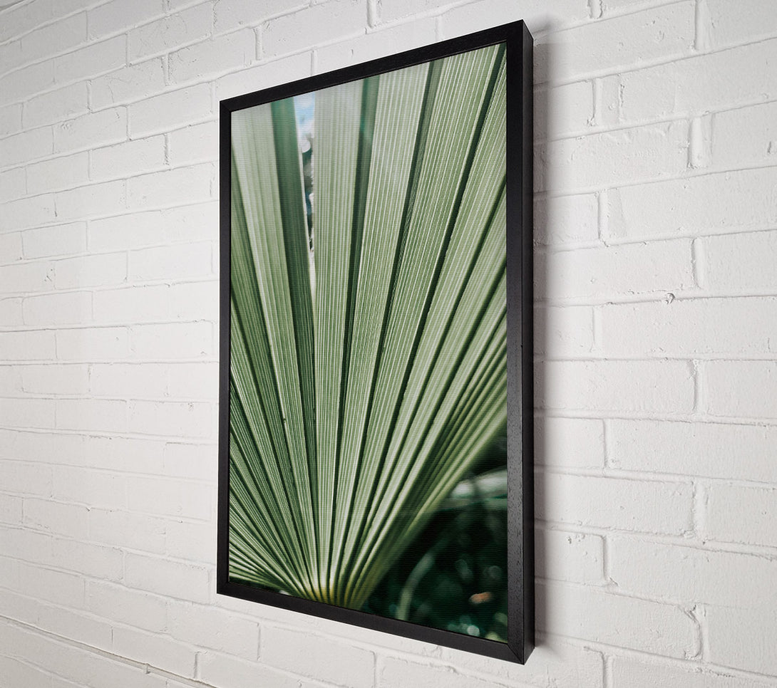  A Canvas Print of Emerald Green Fan Canvas Art