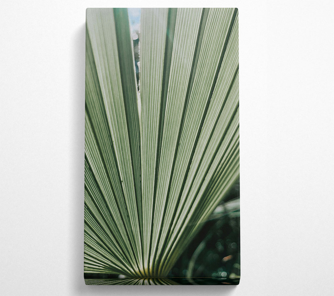  A Canvas Print of Emerald Green Fan Canvas Art