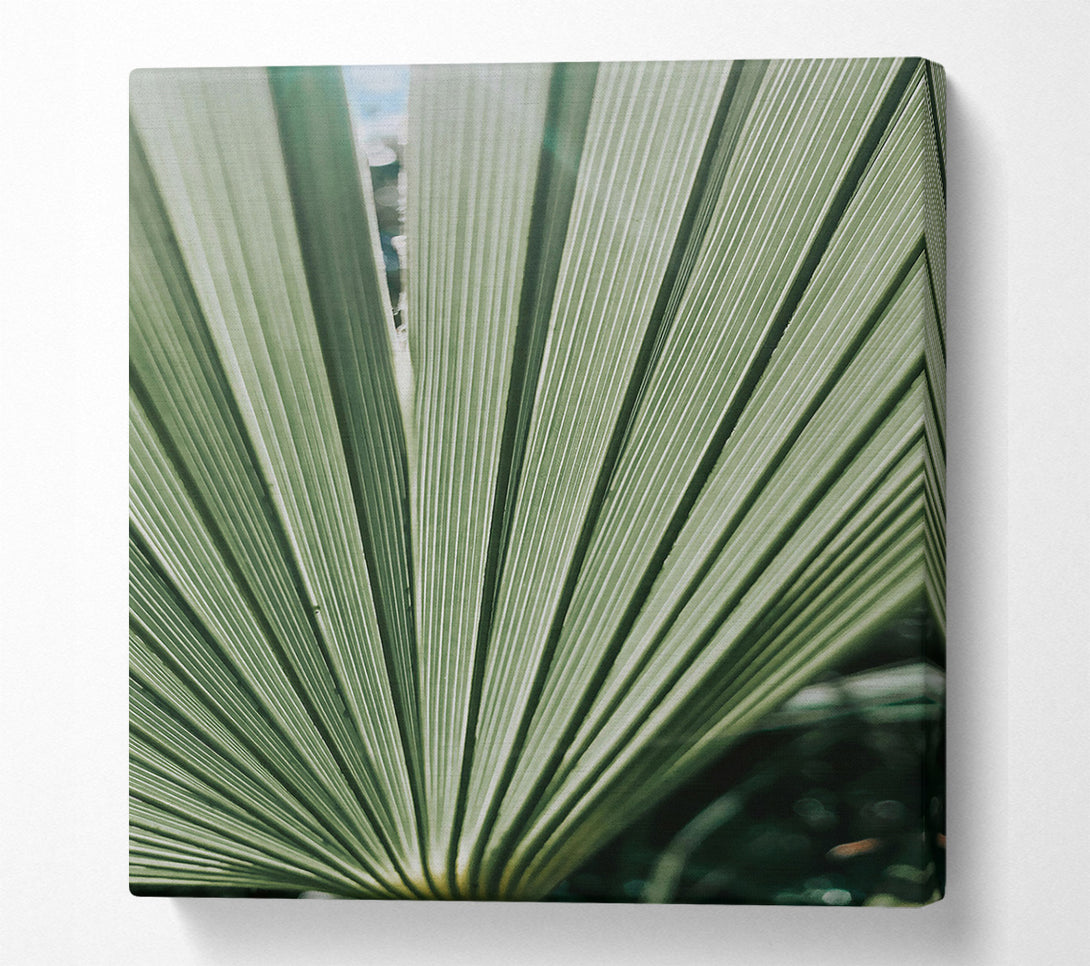  A Canvas Print of Emerald Green Fan Canvas Art