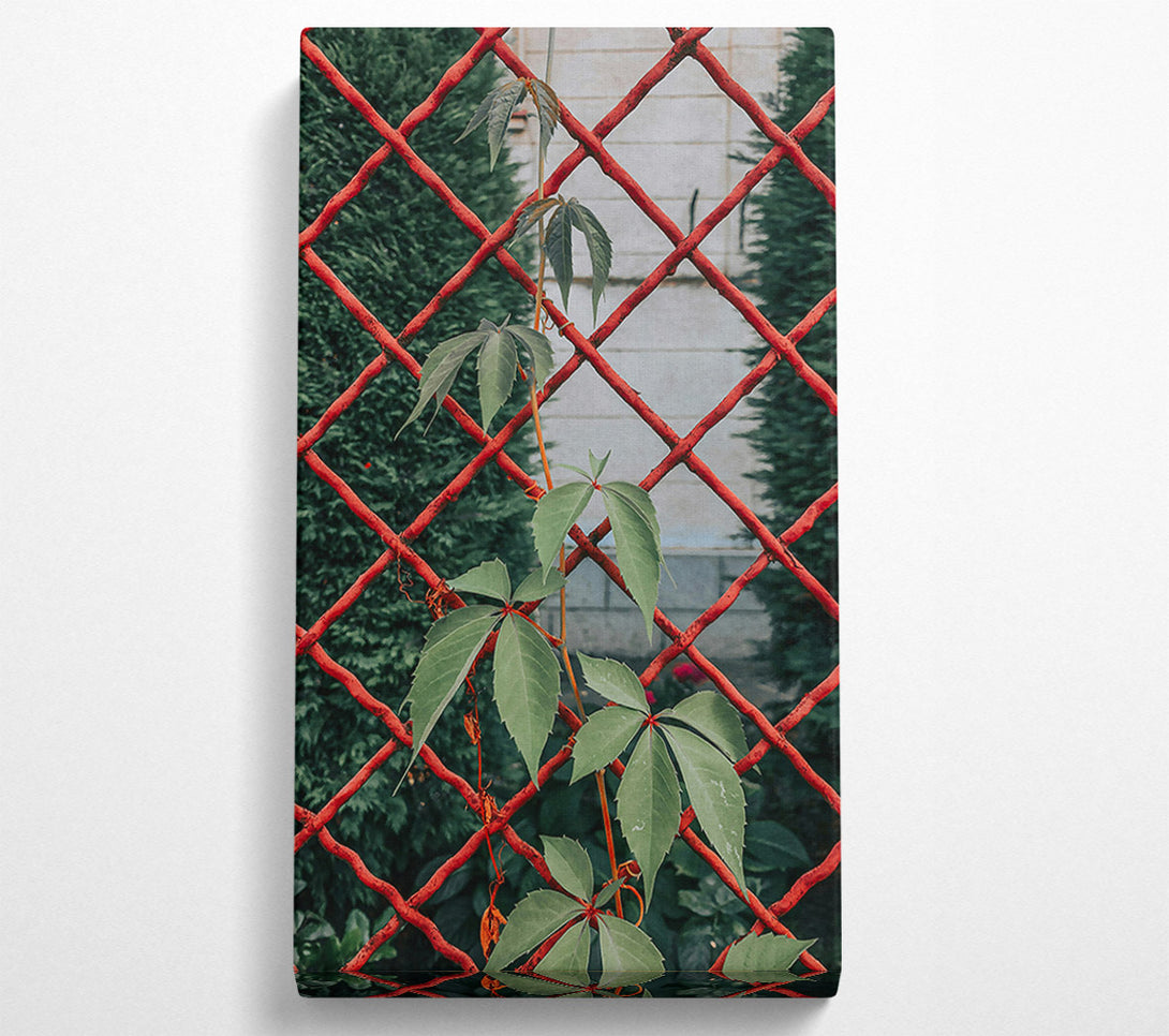  A Canvas Print of Red Vines And Green Leaves Canvas Wall Art