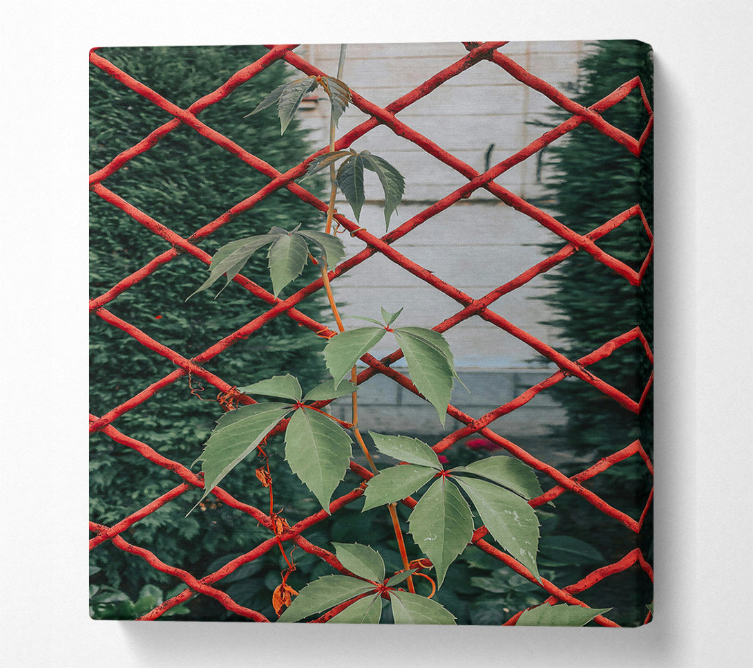 A Canvas Print of Red Vines And Green Leaves Canvas Wall Art