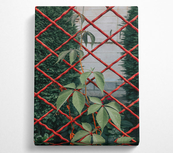  A Canvas Print of Red Vines And Green Leaves Canvas Wall Art