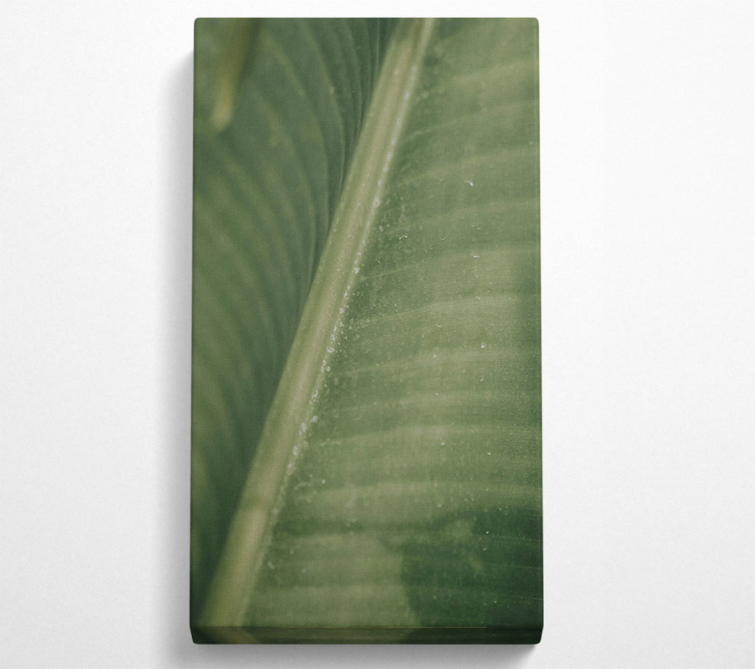  A Canvas Print of Emerald Leaf Lines Canvas Print