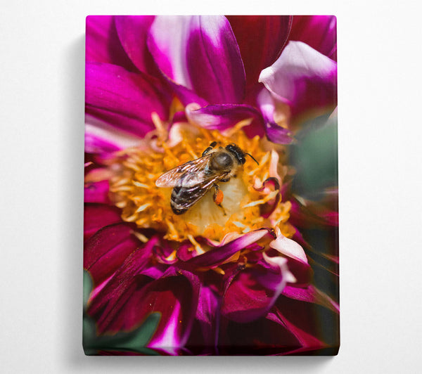  A Canvas Print of Crimson Pollen Bloom Canvas Art