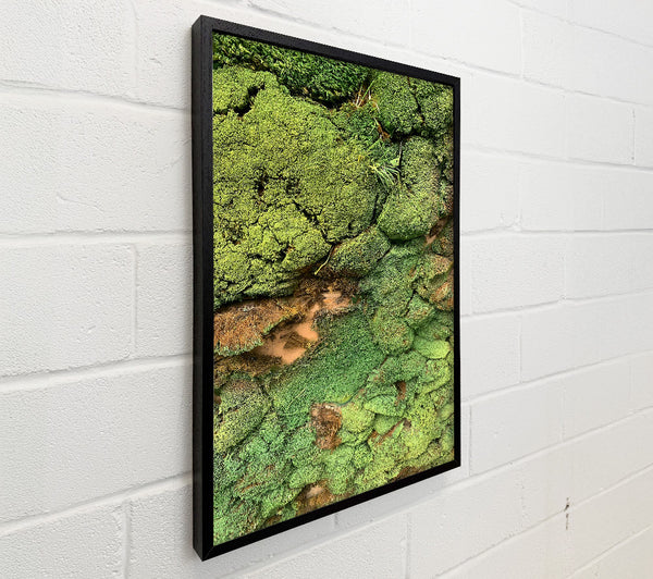 Emerald Mossy Wall