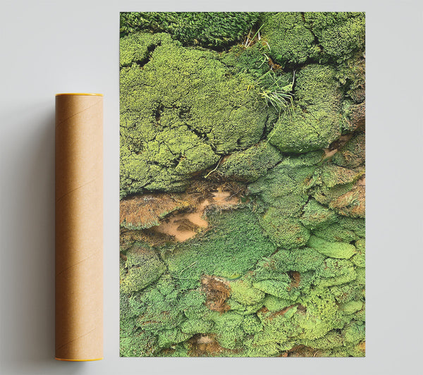 Emerald Mossy Wall Poster