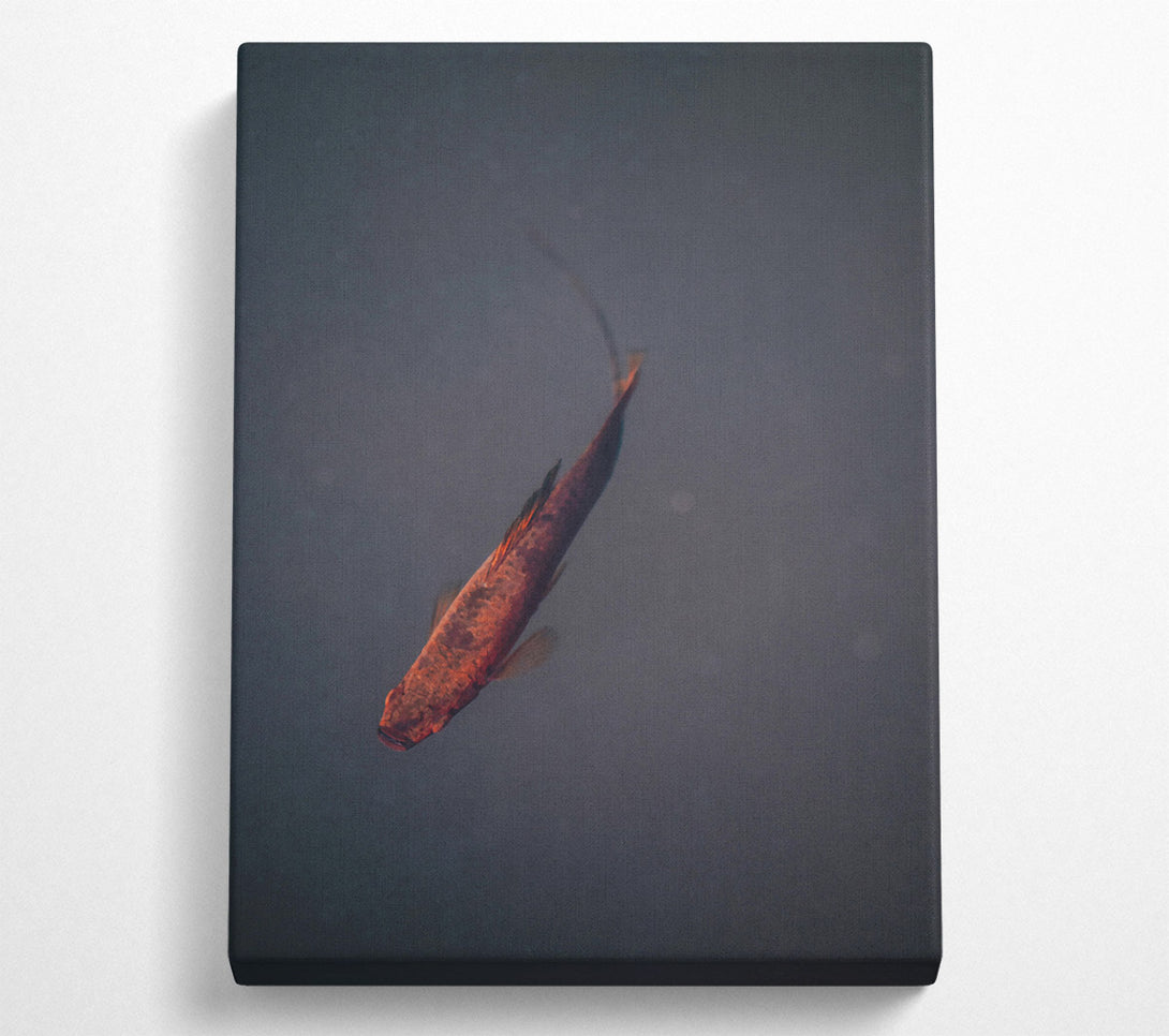 A Canvas Print of Red Fish In Blue Water. Canvas Print