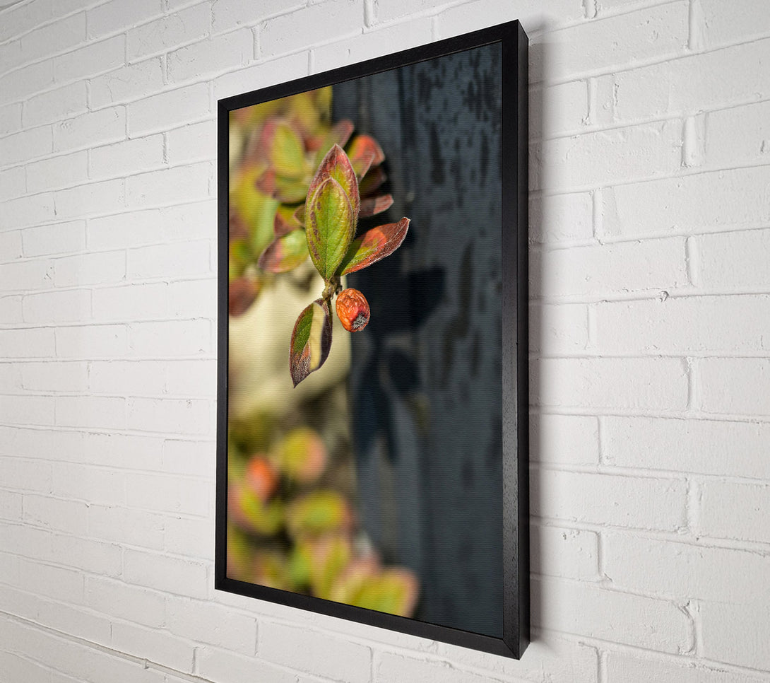  A Canvas Print of Green Leaf And Red Fruit Canvas Wall Art