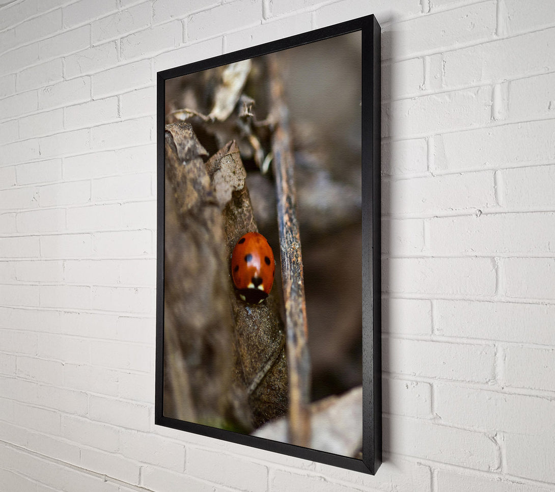  A Canvas Print of Red Ladybug'S Hideaway. Canvas Art