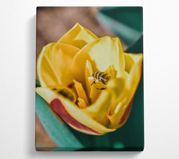  A Canvas Print of Golden Bee'S Bounty Canvas Wall Art
