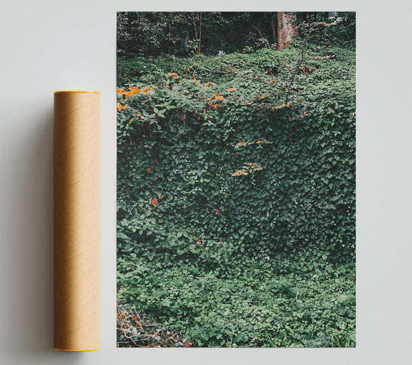 Emerald Green Wall Print