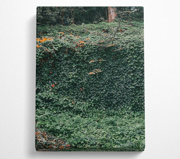 A Canvas Print of Emerald Green Wall Canvas Wall Art