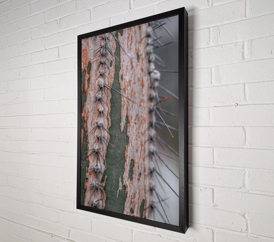  A Canvas Print of Green And Orange Thorns Canvas Art