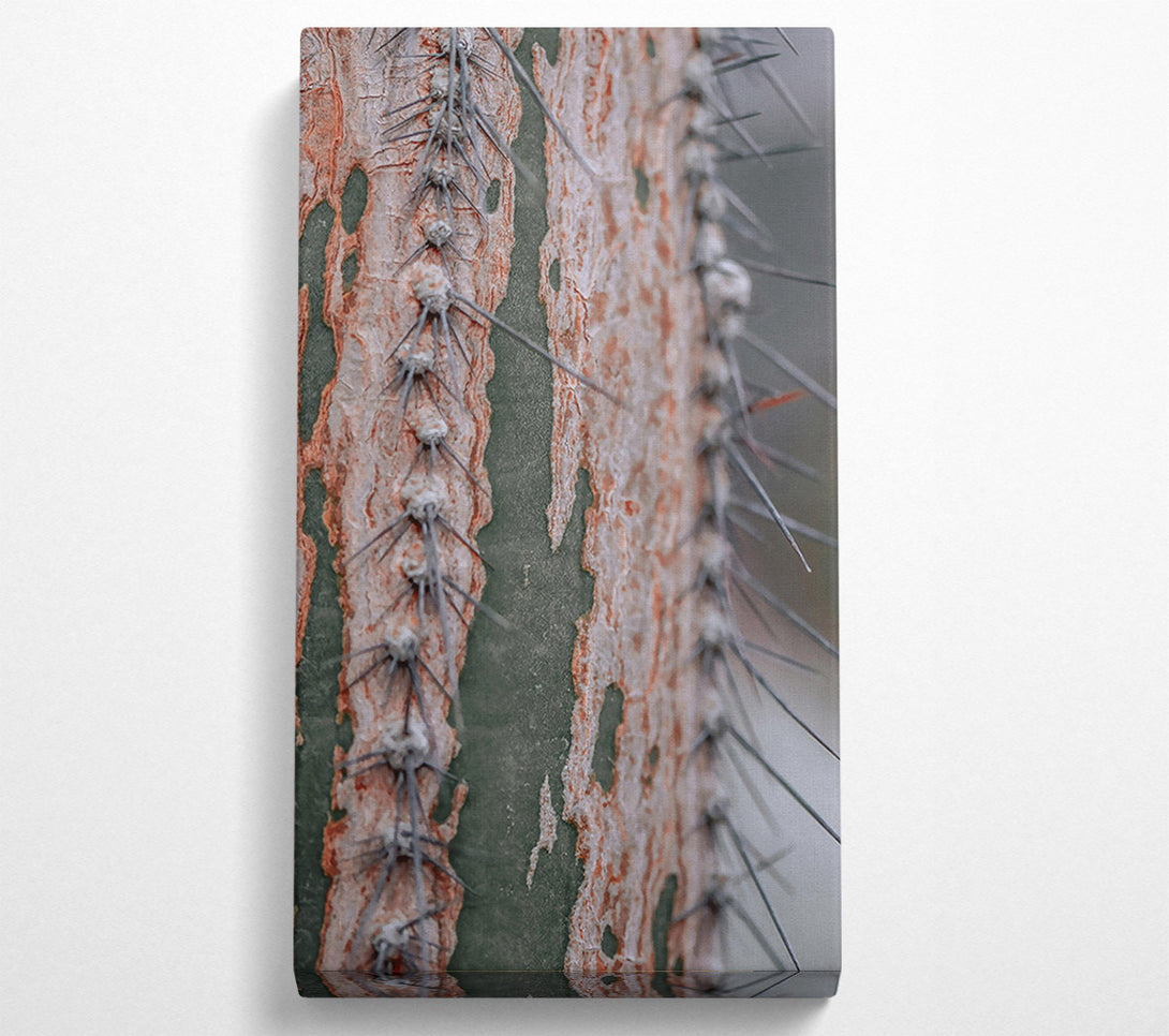  A Canvas Print of Green And Orange Thorns Canvas Art