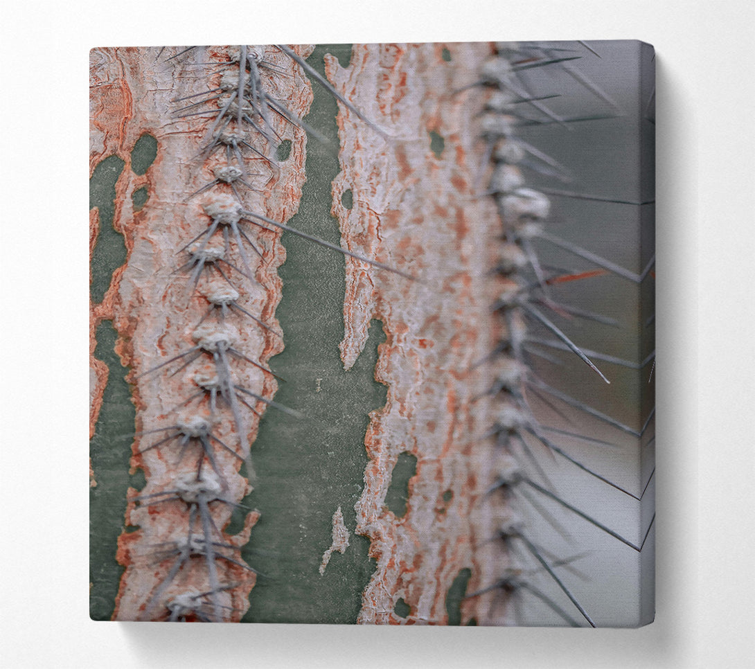  A Canvas Print of Green And Orange Thorns Canvas Art