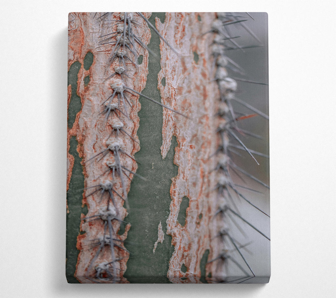  A Canvas Print of Green And Orange Thorns Canvas Art