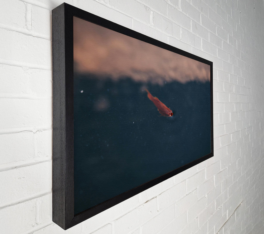  A Canvas Print of Red Fish In Blue Water. Canvas Print