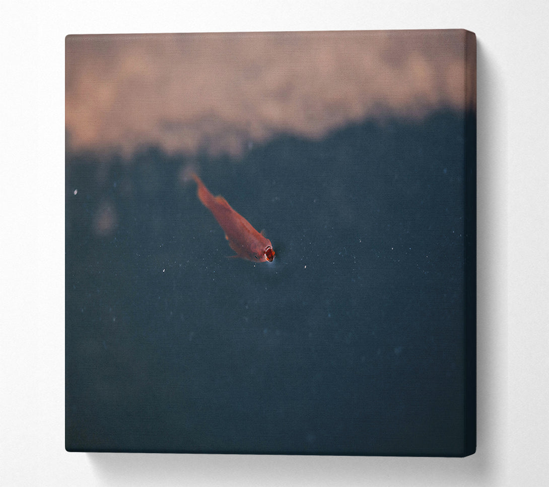  A Canvas Print of Red Fish In Blue Water. Canvas Print