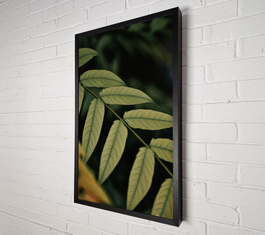  A Canvas Print of Olive Green Branch Canvas Wall Art
