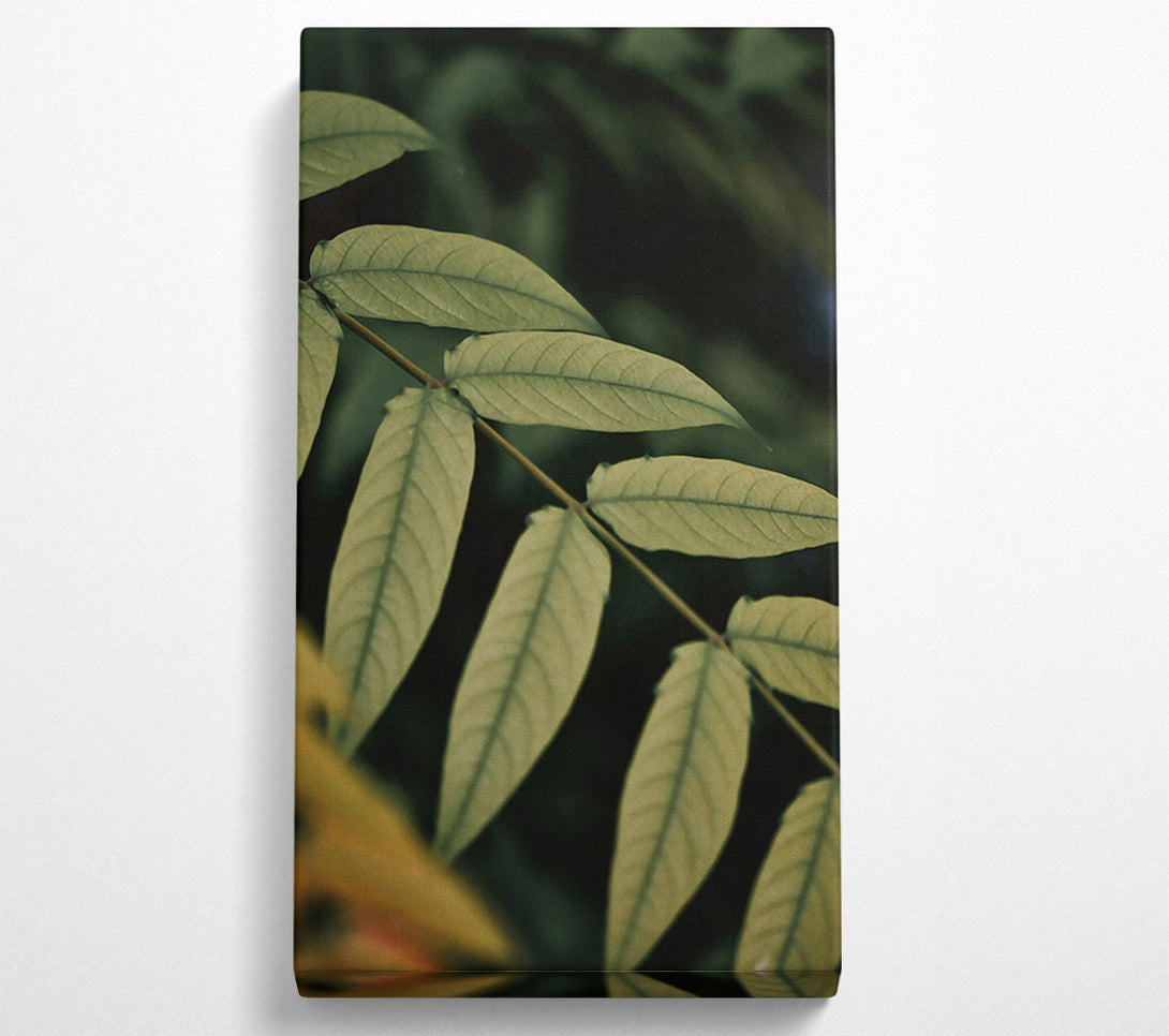  A Canvas Print of Olive Green Branch Canvas Wall Art