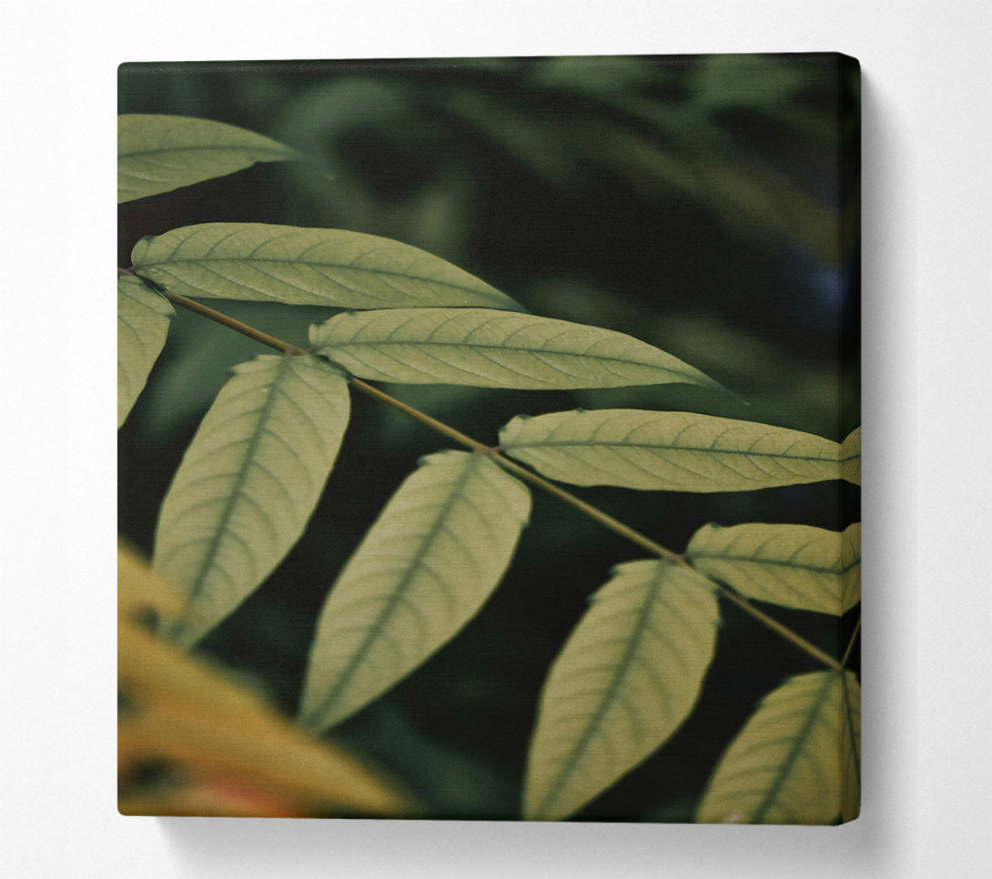  A Canvas Print of Olive Green Branch Canvas Wall Art