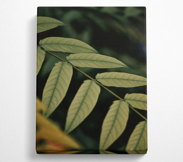 A Canvas Print of Olive Green Branch Canvas Wall Art