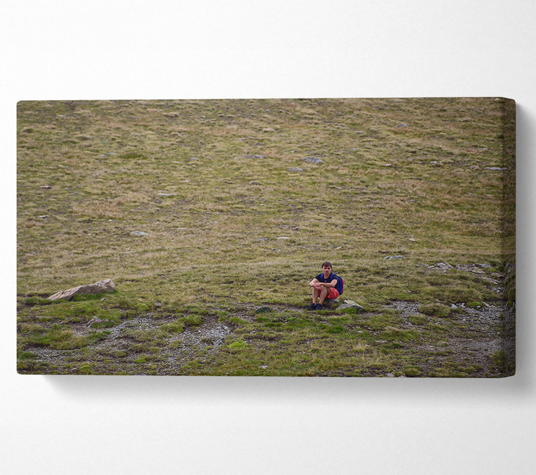  A Canvas Print of Green Solitude Canvas Print