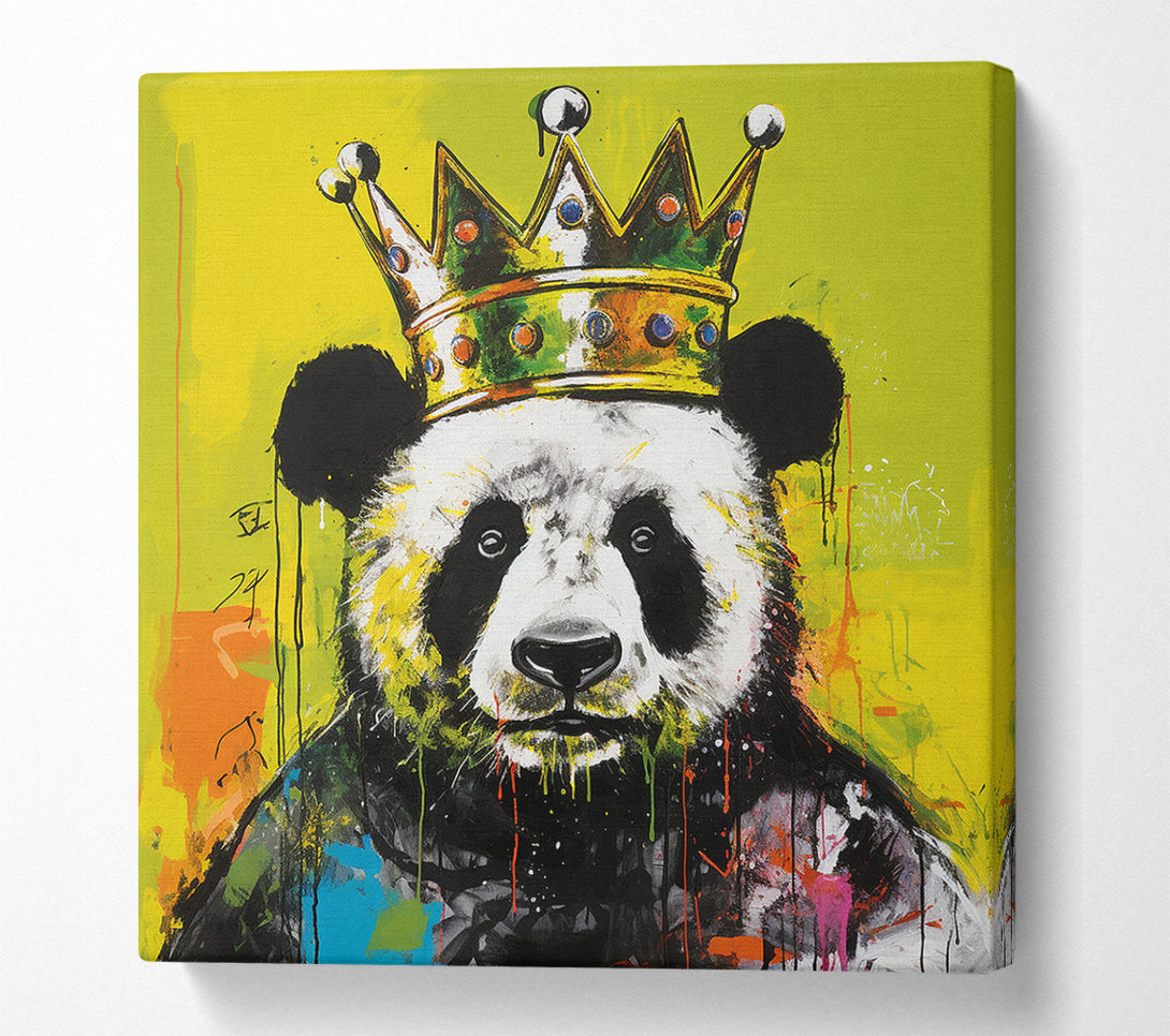  A Canvas Print of Panda Crown Urban Canvas Wall Art