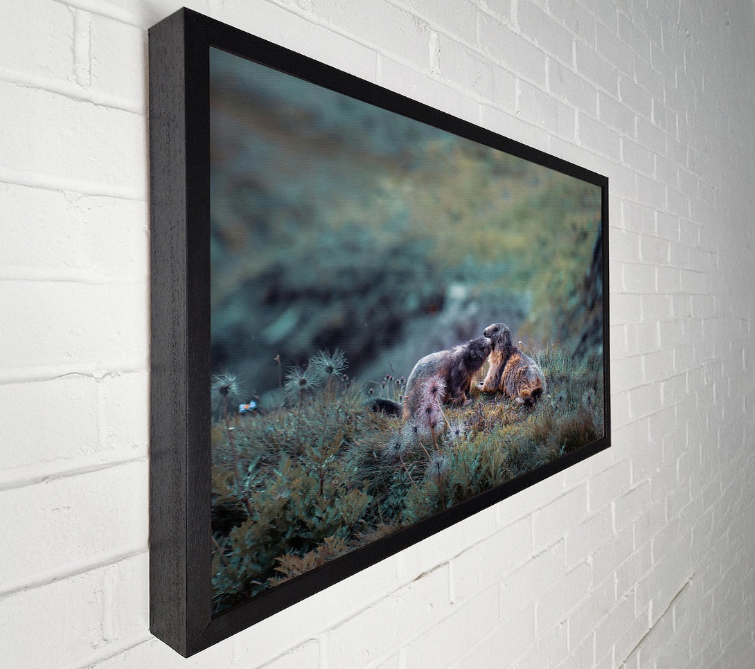  A Canvas Print of Green Mountain Marmots Canvas Wall Art