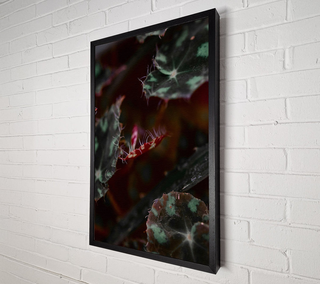  A Canvas Print of Crimson Leaf Whisper Canvas Wall Art