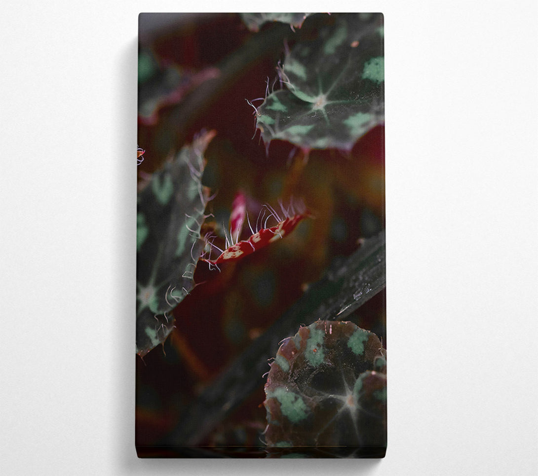  A Canvas Print of Crimson Leaf Whisper Canvas Wall Art