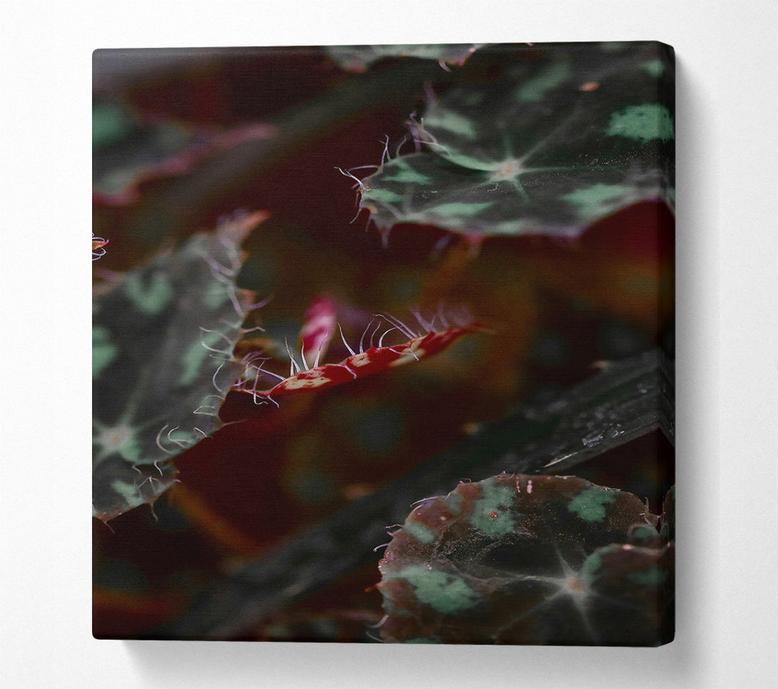  A Canvas Print of Crimson Leaf Whisper Canvas Wall Art