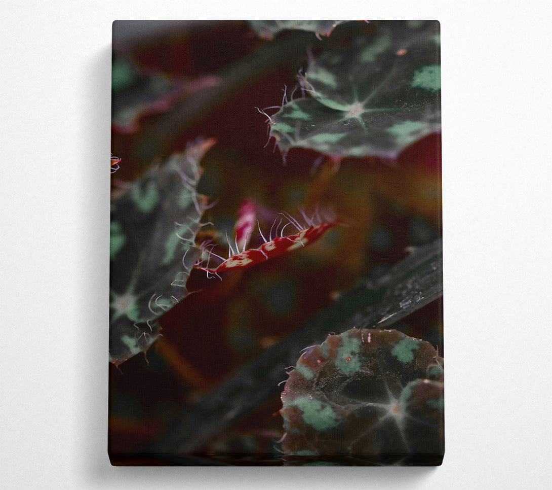  A Canvas Print of Crimson Leaf Whisper Canvas Wall Art