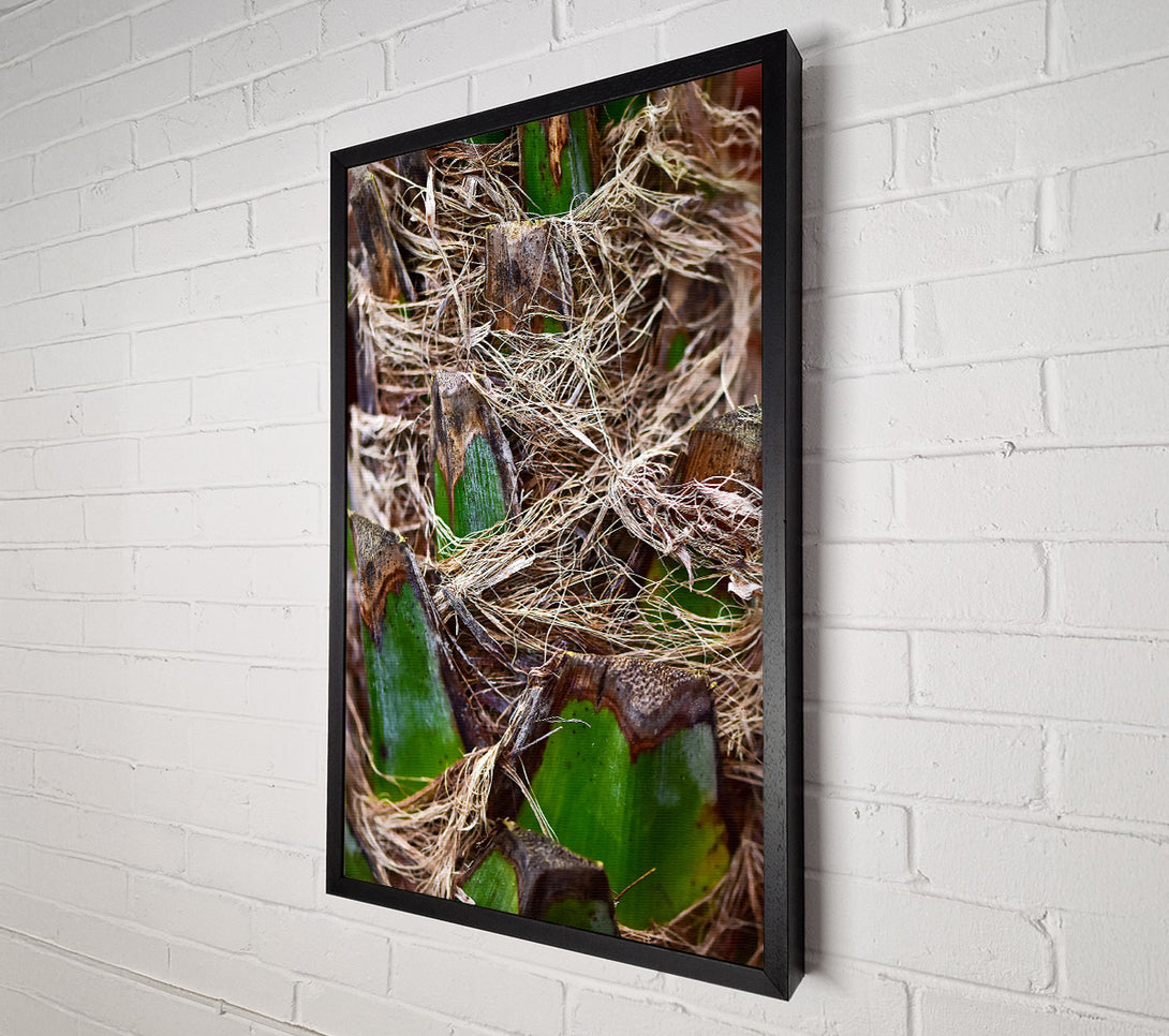  A Canvas Print of Green Palm Fibers Canvas Print