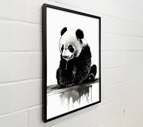 Panda Cub Cute