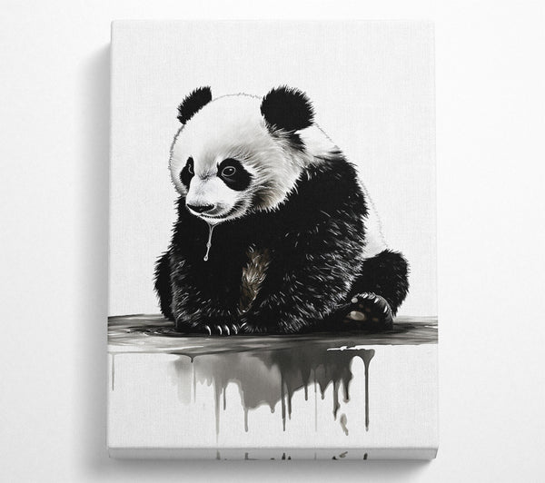  A Canvas Print of Panda Cub Cute Canvas Print