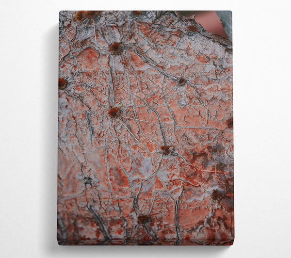  A Canvas Print of Crimson Cactus Skin Canvas Print